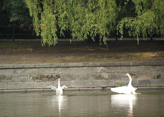 Gotland Ξενοδοχείο