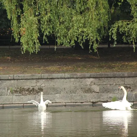 سيتي هوتل غوتلاند فندق