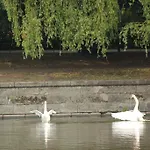 シティ ゴトランド ホテル